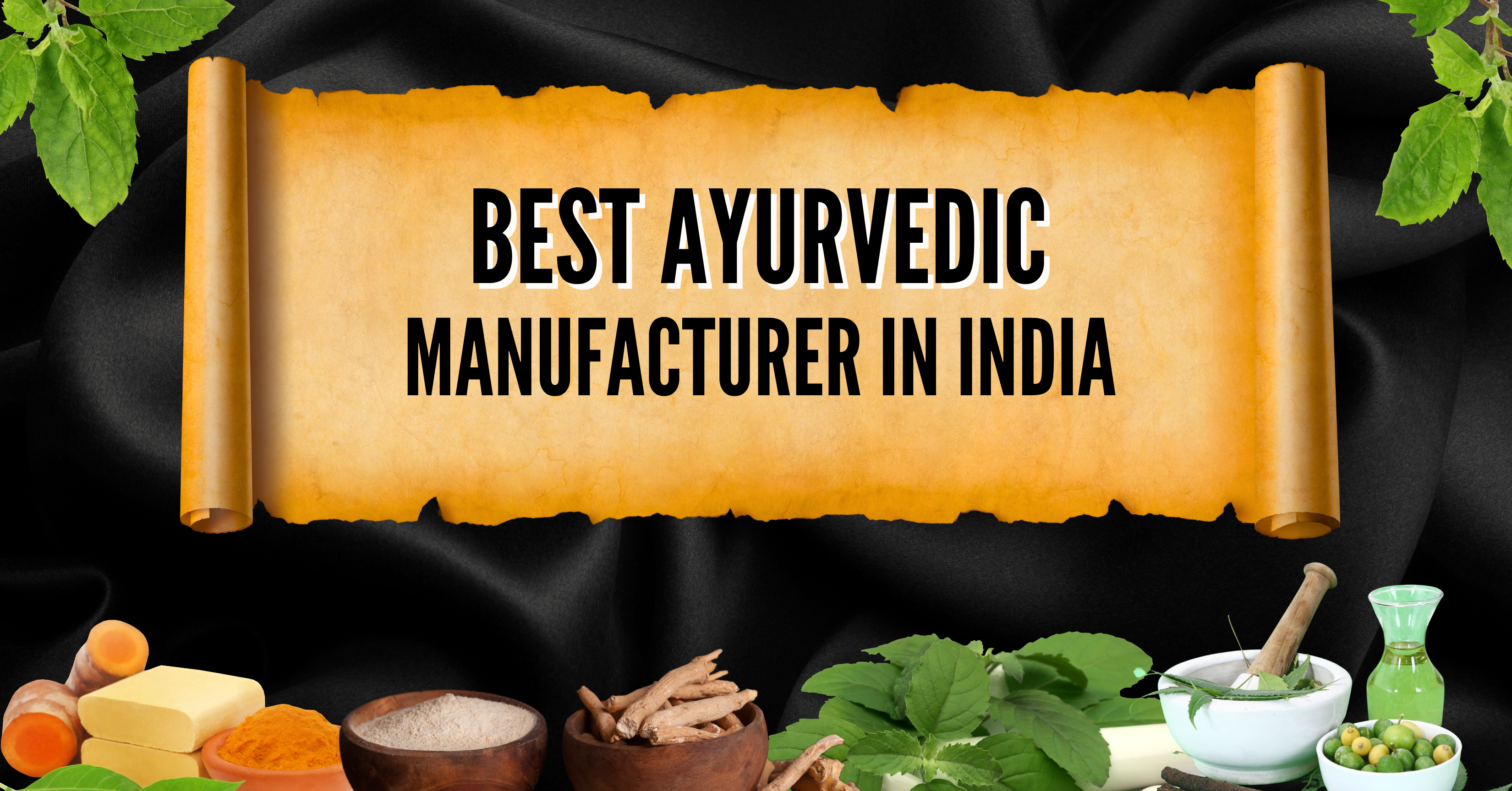 Best Ayurvedic Manufacturer in India